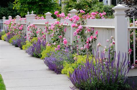 indah banget intip  inspirasi gambar taman bunga  rumahmu