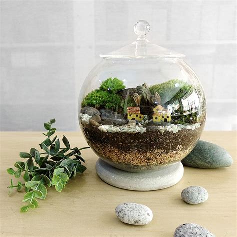 Mossin' annie will choose her favorite mosses for making terrariums that offer varying shades of green and different textures. Moss Terrarium (Globe Lid Jar) DIY Kit - Make Your Own