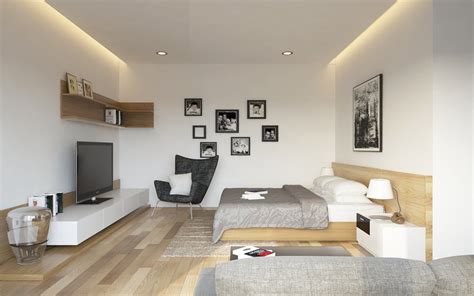 Apartment Bedroom Living Room Interior Design Ideas