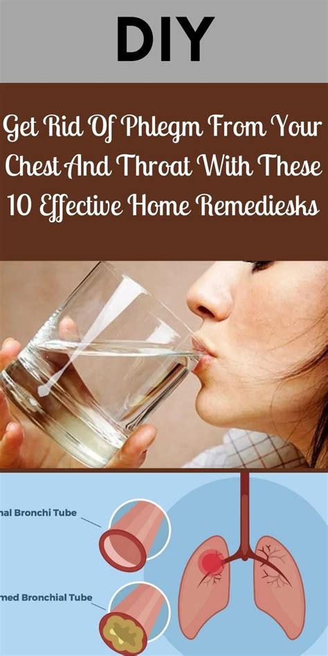 get rid of phlegm from your chest and throat with these 10 effective home remedies in 2021