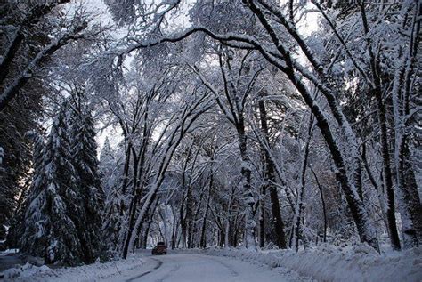 My White Christmas Winter Wonderland Pictures Winter Scenes