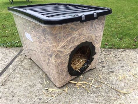 How To Build A Feral Cat Shelter For Winter Angies List