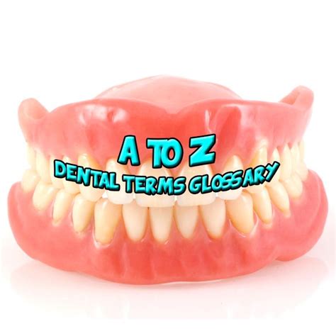 Dental Terms Glossary Simplified Dental Glossary Dental Care