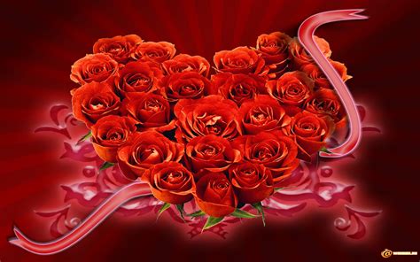 Red Roses Heart Hd Wallpapers