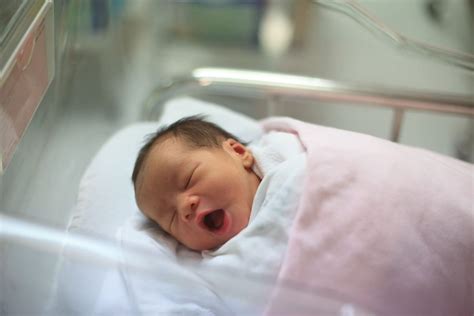 Gambar Bayi Baru Lahir Normal Adzka