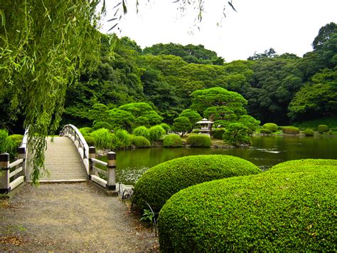 Wow Check Out This Beautiful Shinjuku Gyoen National Garden In Japan