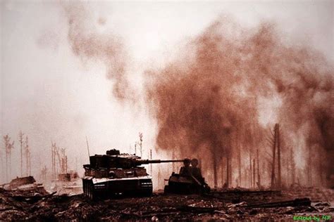 A German Tiger I Tank In Action Battle Of Kursk Russia July