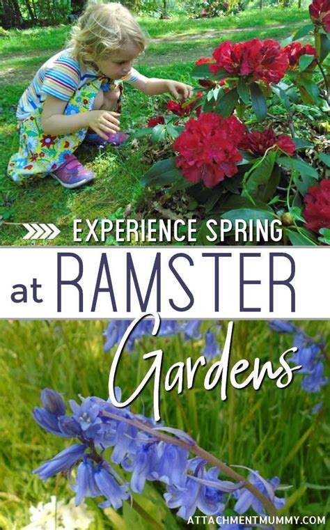 Sherway gardens 25 the west mall space 1394 toronto, on m9c 1b8. Family Days Out in Surrey: Ramster Gardens | Family days ...