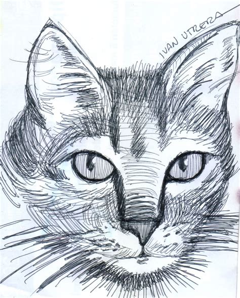 Compartir 135 Imagen Dibujos De Gato A Lapiz Thptletrongtan Edu Vn