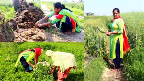 Hardworking Life Of Punjab Village Woman Youtube