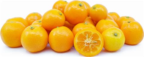 Calamondin Limes Information Recipes And Facts