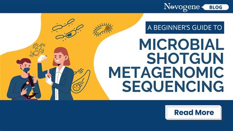 Novogene Blog A Beginners Guide To Microbial Shotgun Metagenomic