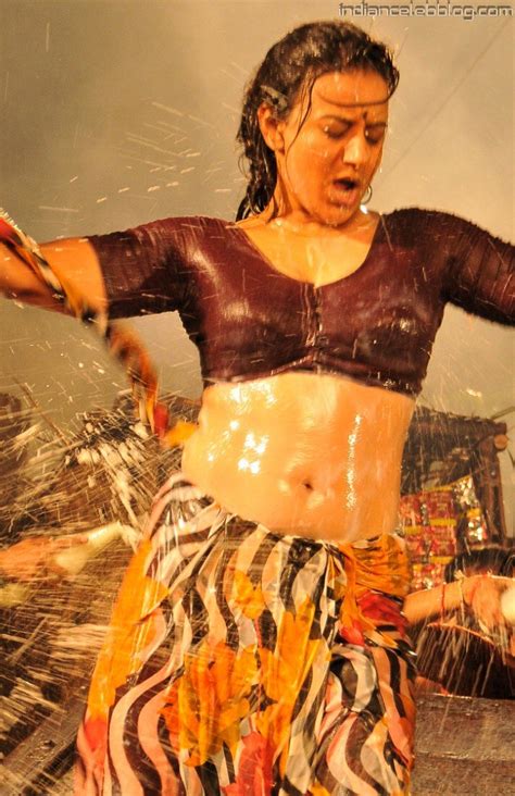 Pooja Gandhi Kannada Actress Dpms17 Hot Saree Navel Stills