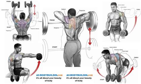 Top 5 Shoulder Workouts For Mass Shoulder Workout Best Shoulder