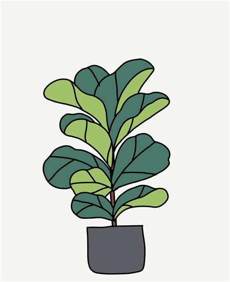 Doodle Freehand Sketch Drawing Of Fiddle Leaf Fig Tree 3099119 Vector