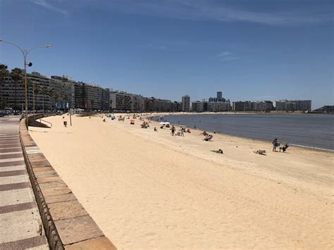 Playa Pocitos Montevideo 2020 All You Need To Know Before You Go