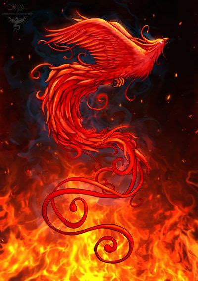 Phoenix Design2 Background By Amorphisss On Deviantart Phoenix Tattoo