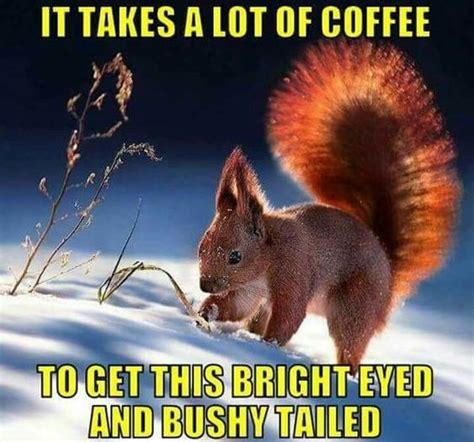 60 Wednesday Coffee Memes Images And Pics To Get Through The Week The