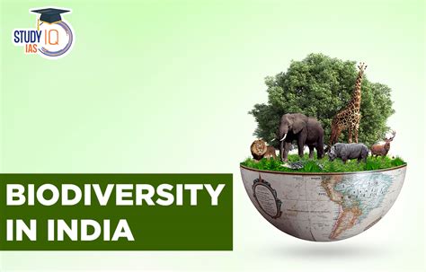 Biodiversity Map Of India