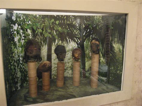 Shrunken Heads Museum Of Man San Diego Lindsay Holmwood Flickr