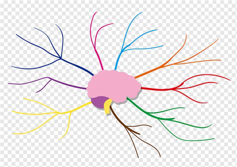 Mind Map Sketch Color Radiation Brain Thinking Analysis Infographic