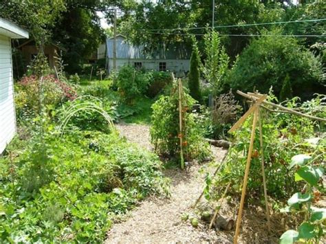 The Advantages Of Permaculture Garden Permaculture Gardening