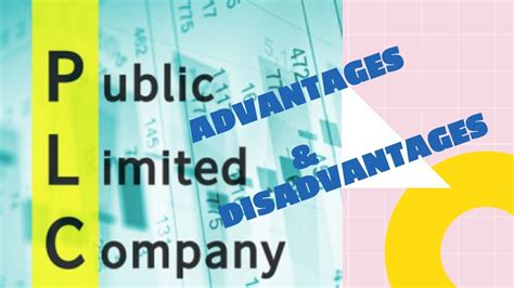 Public Limited Company Advantages And Disadvantages Youtube