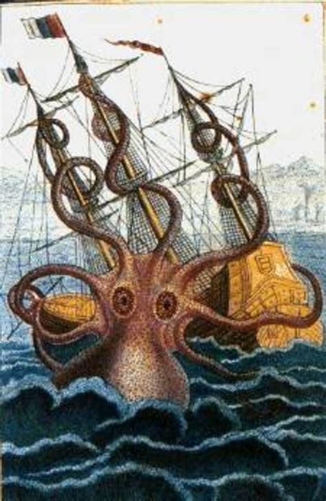 Squid Myths From Kraken To Cthulhu Hubpages