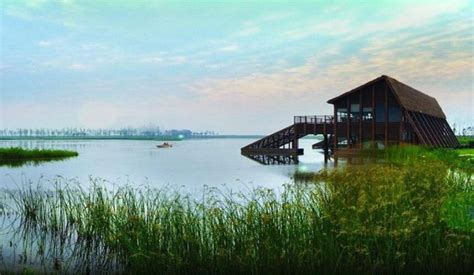 Experience The Nature Vibe In Chongming Island Shanghai Expats Holidays