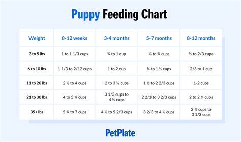 How Much To Feed A Puppy Puppy Feeding Chart And Schedule Petplate
