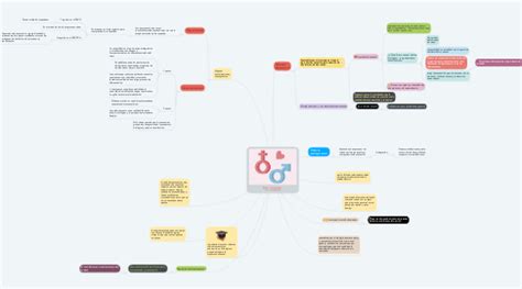 Bases Conceptuales De La Sexualidad Mindmeister Mapa Mental