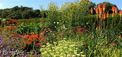 Bee populations around the world are declining steadily, which could have devastating impacts on our food supply, health, biodiversity and economy. Plan a Bee-Friendly Garden