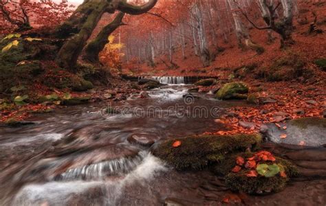 142 Misty Waterfall Red Leaf Stock Photos Free And Royalty Free Stock