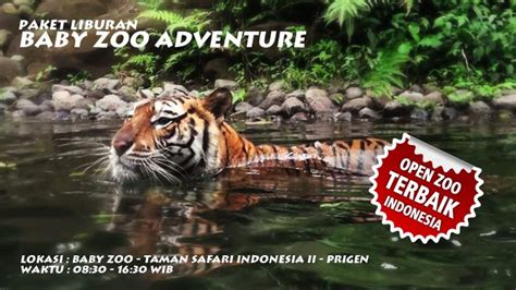 Taman Safari Indonesia Ii Prigen Jawa Timur Kurnia Tour Travel