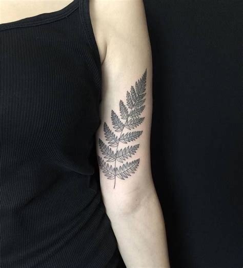 53 Gorgeous Fern Tattoo Designs And Ideas Tattoobloq Tatouage