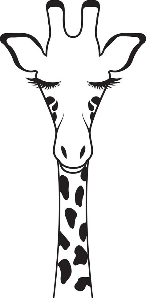 Giraffe Head Drawing Outline 101hannelore