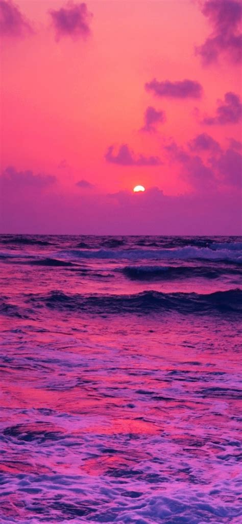 1242x2688 Resolution Horizon Pink Sunset Near Sea Iphone Xs Max