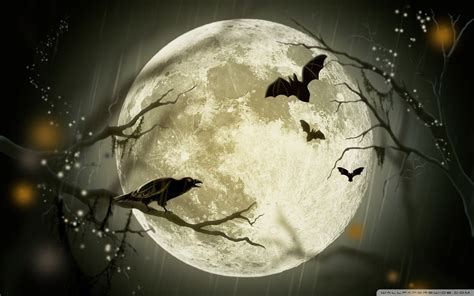 Halloween Moon Wallpapers Top Free Halloween Moon Backgrounds