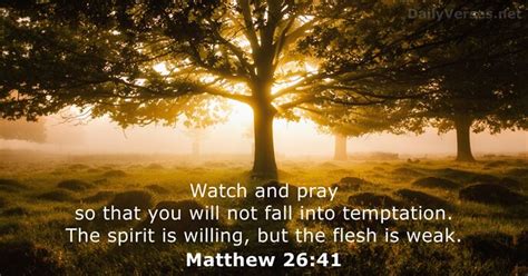 Matthew 26:41 - Bible verse - DailyVerses.net