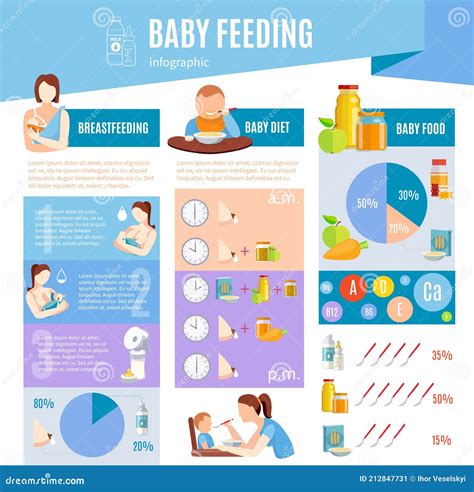 Baby Feeding Information Infographic Layout Poster Stock Vector