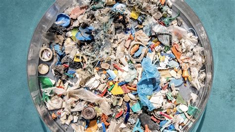Plastic Pollution Affects Sea Life Throughout The Ocean The Pew