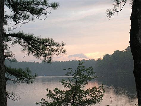 Check out updated best hotels & restaurants near bass river i'd love to offer a comprehensive review of bass river state forest, their camping facilities, recreation activities, and restroom conditions. Bass River State Forest, a New Jersey State Forest located ...