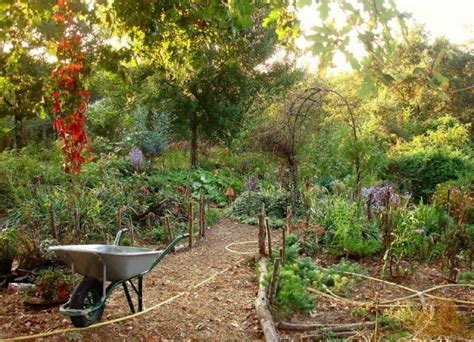 Build Your Permaculture Garden