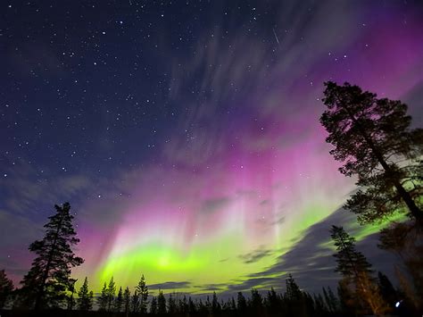 Alberta Northern Lights Aurora Borealismini Experiences You Should