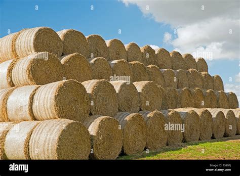 Stacked Round Hay Bales Hi Res Stock Photography And Images Alamy
