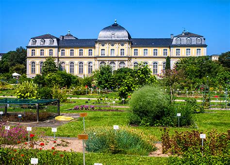 Top hotels nahe botanischer garten bonn! Bonn Botanischer Garten / Botanische Garten Bonn ...