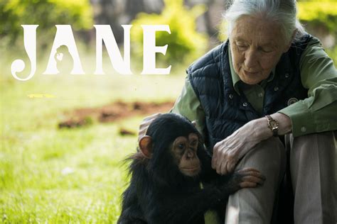 Le Dr Jane Goodall R V Le Ce Que La Plan Te Doit R Parer G Chis