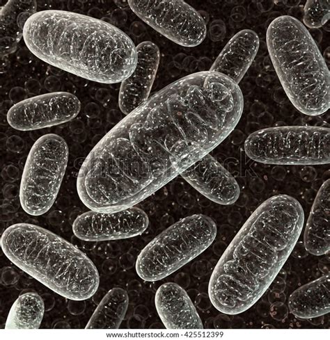 Mitochondrium 3d Rendering Microbiology Illustration Stock Illustration