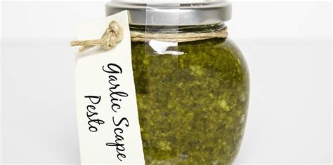 Garlic Scape Pesto - MealGarden