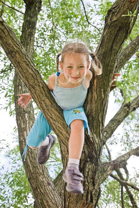 Child Climbing Tree Stock Image Image Of Active Grass 19675733